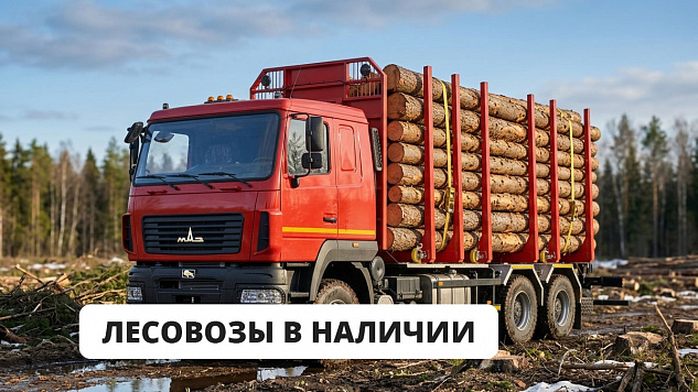 Сортиментовозы на шасси МАЗ в ТРАК МАРКЕТ