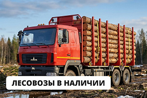 Сортиментовозы на шасси МАЗ в ТРАК МАРКЕТ